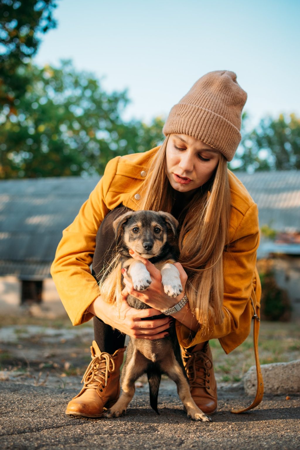 Humane Society of Cambria County PA - Animal Shelter